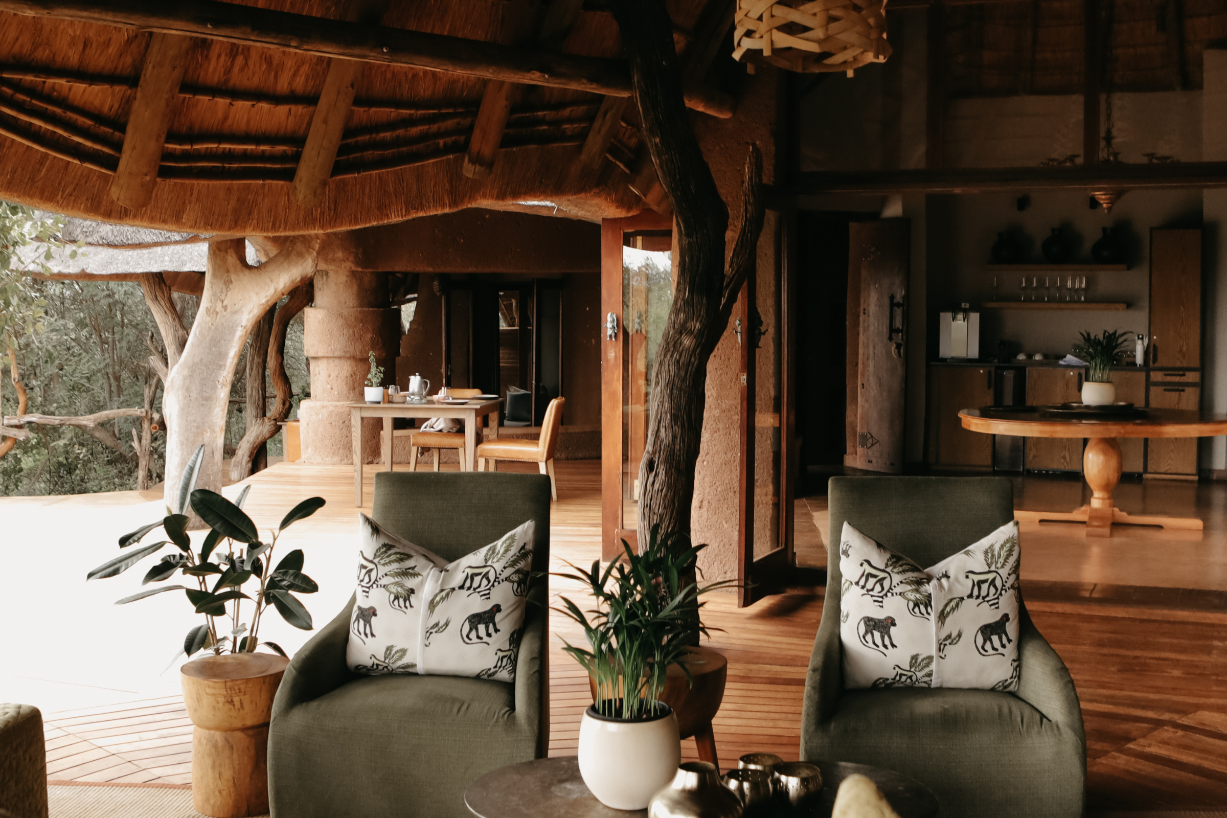 makalali private game lodge.webp